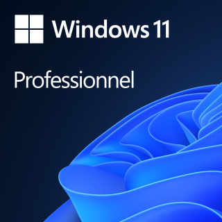Windows 11 Famille / Professionnel